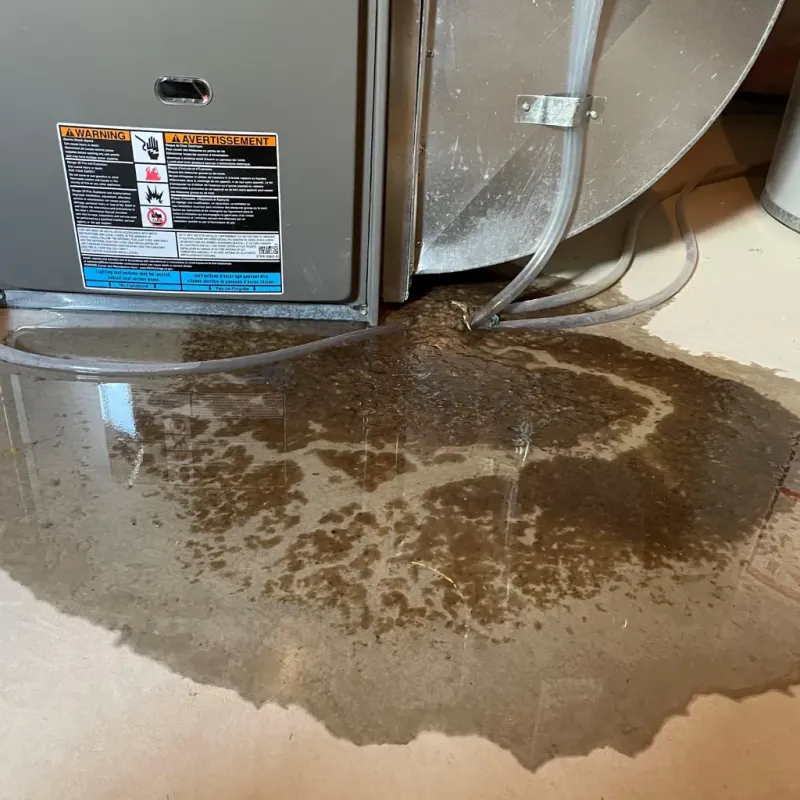 Appliance Leak Cleanup in Omao, HI