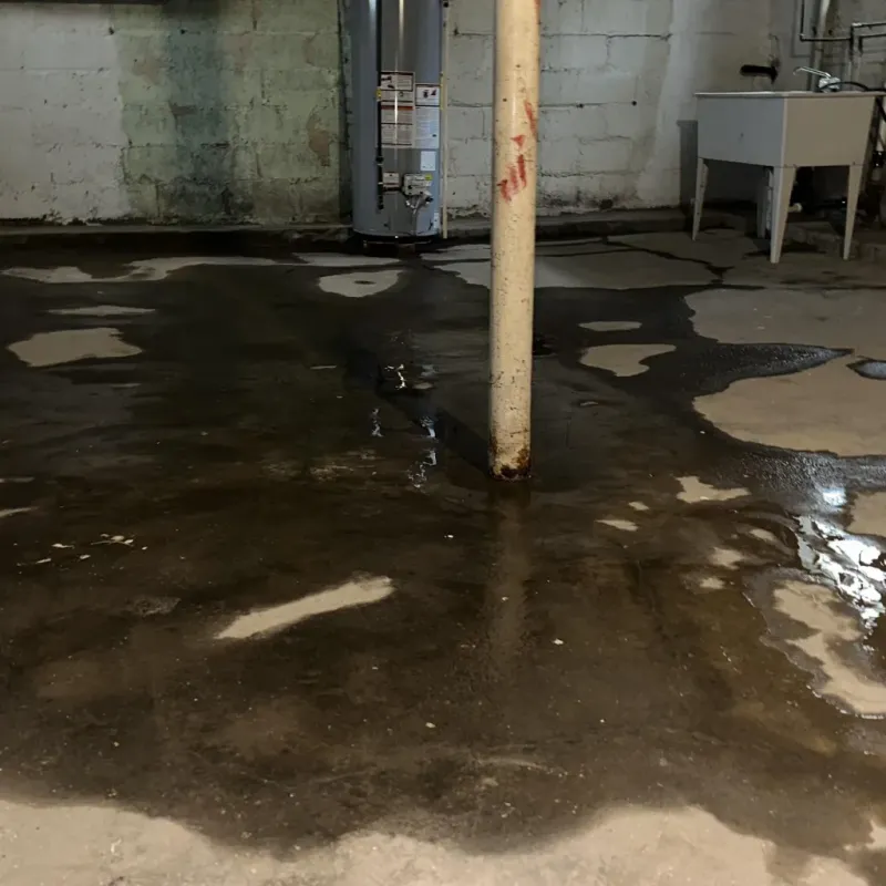 Emergency Water Extraction And Removal in Omao, HI